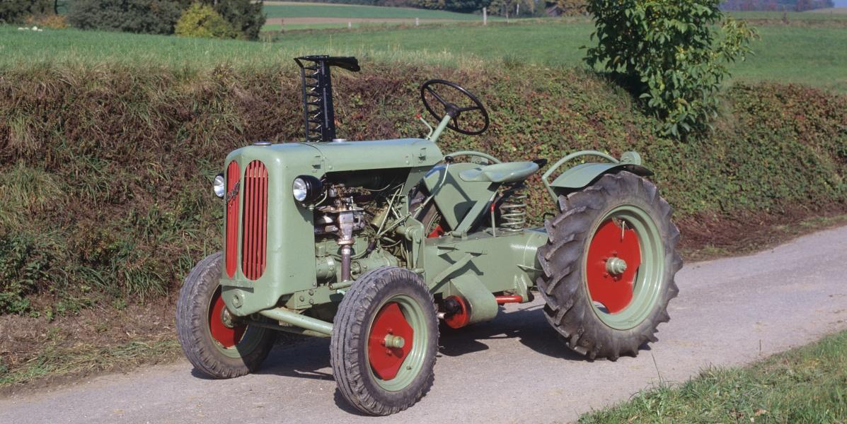 Schaffer  1952