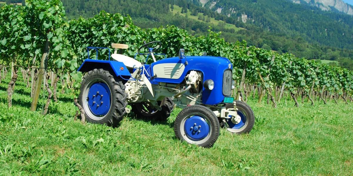 Warchalowski WT 20  1960