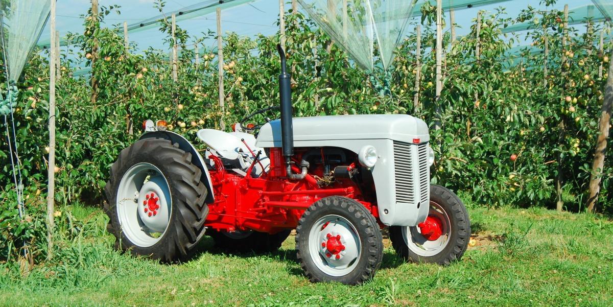 Ferguson TEC 20  1948